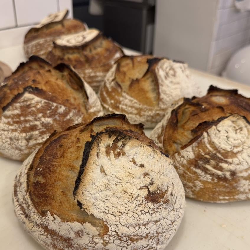 Thanksgiving Classic Sourdough
