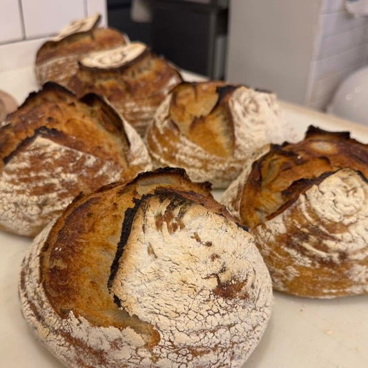 Thanksgiving Classic Sourdough